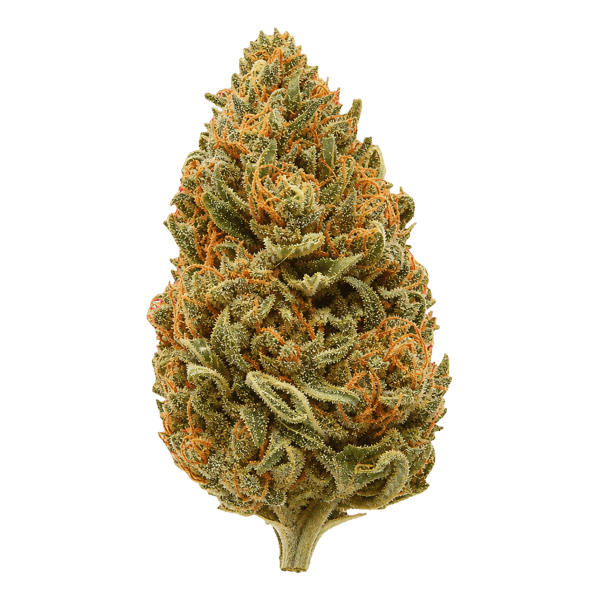 420 Evolution 27/1 CA FFC Frosted Fruit Cake Online Kaufen