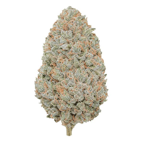 Tetra THC27 BCP Black Cherry Punch Online Kaufen