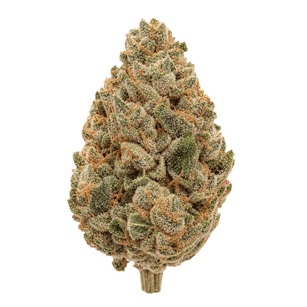 Green Mile 33/1 LCS Lemon Cream Sherbert Online Kaufen