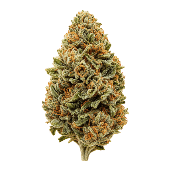 Kush Mountain Craft 27/1 ICK Ice Cream Cake × Kush Mints Online Kaufen