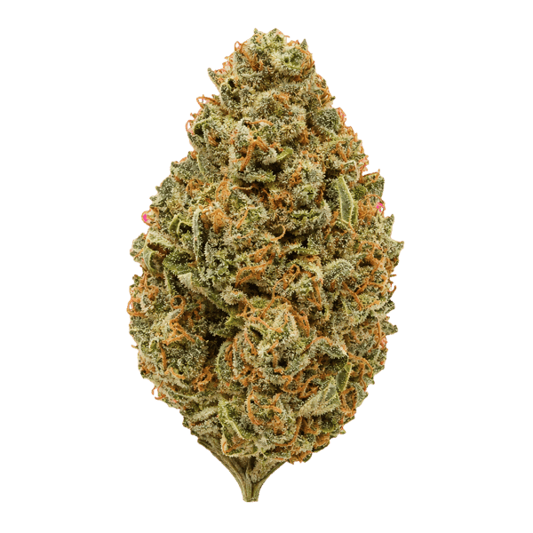 Cannamedical CM 20/1 OG Kush Online Kaufen
