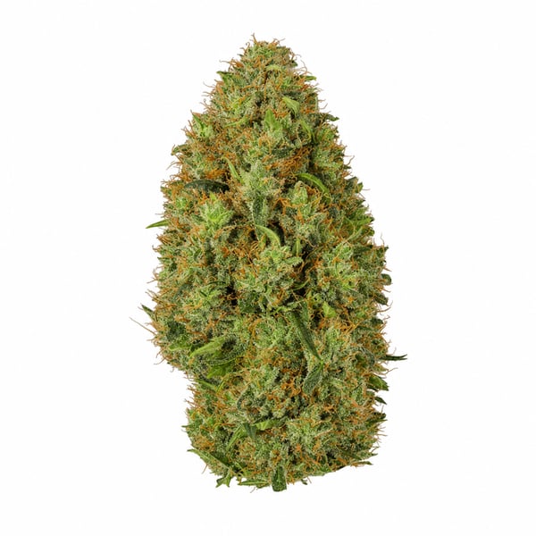 Exodus Cheese