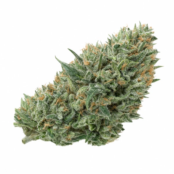Funky Berry