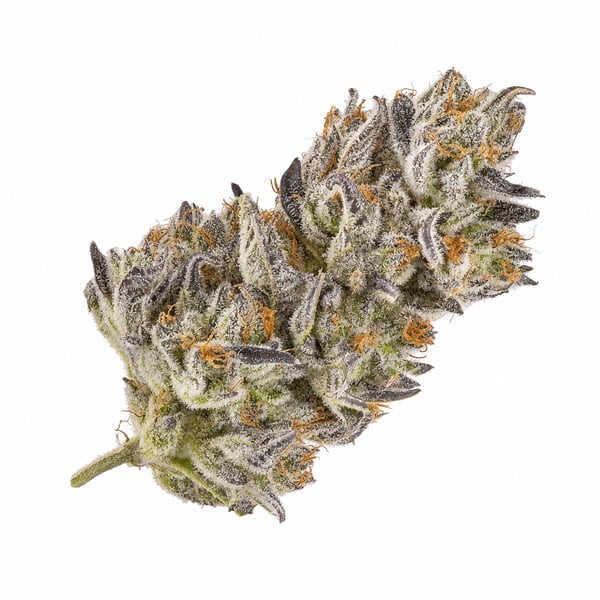 Wedding Cake x Jet Fuel Gelato