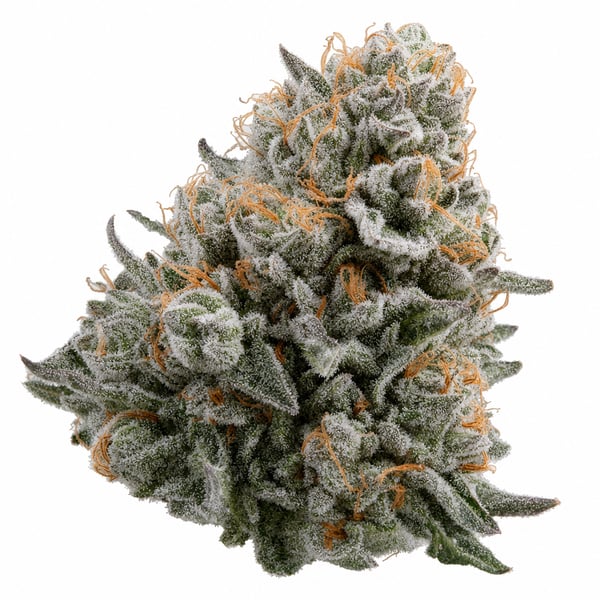 Pineapple God