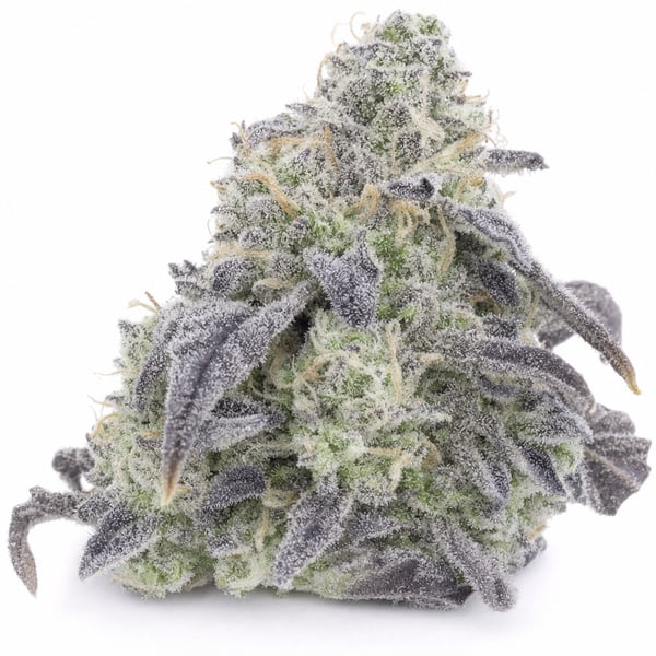 Vanilla Cake