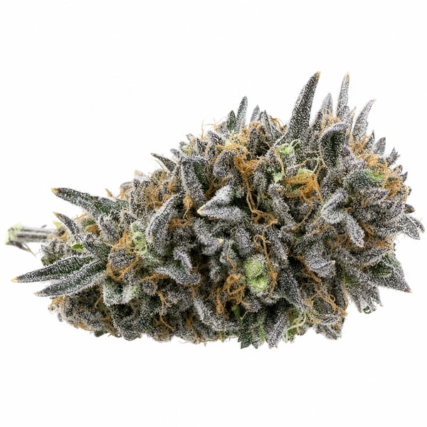 Guava Barz