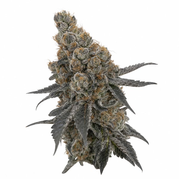 Meatbreath