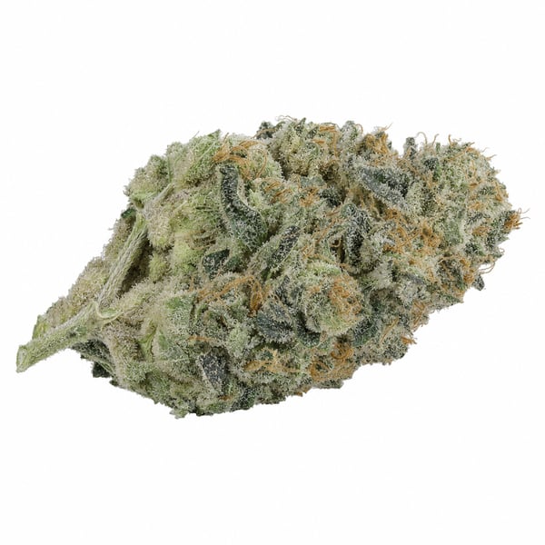 Mintz Kush