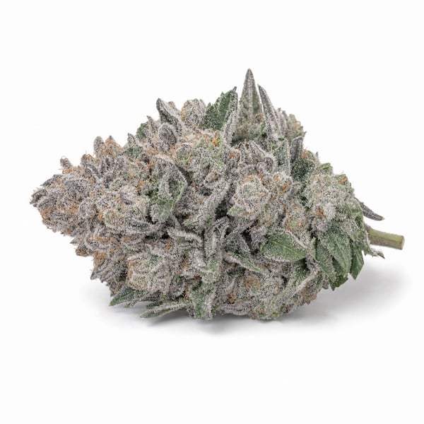 White Runtz Cannabis Strain