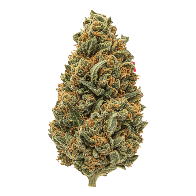 35/1 Natural Buds BBY Blockberry Online Kaufen