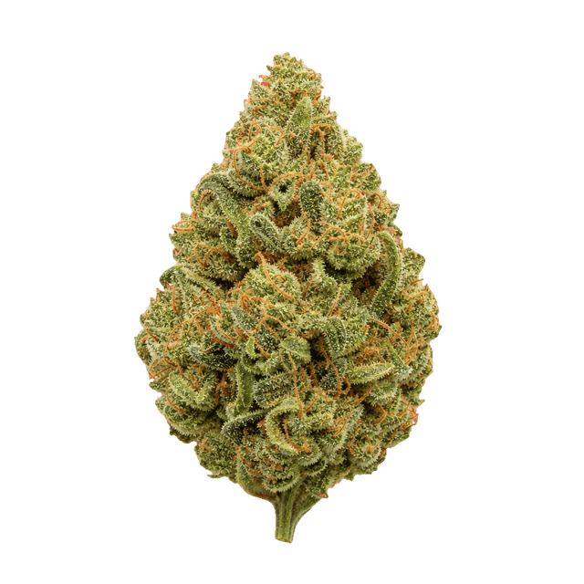 29/1 Amici SLE Sour Lemon OG Online Kaufen