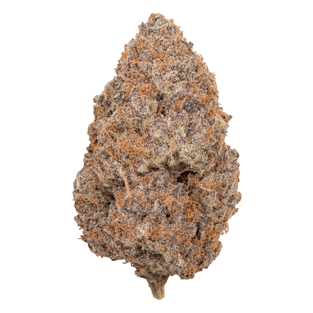 420 Evolution 30/1 CA PEX Online Kaufen