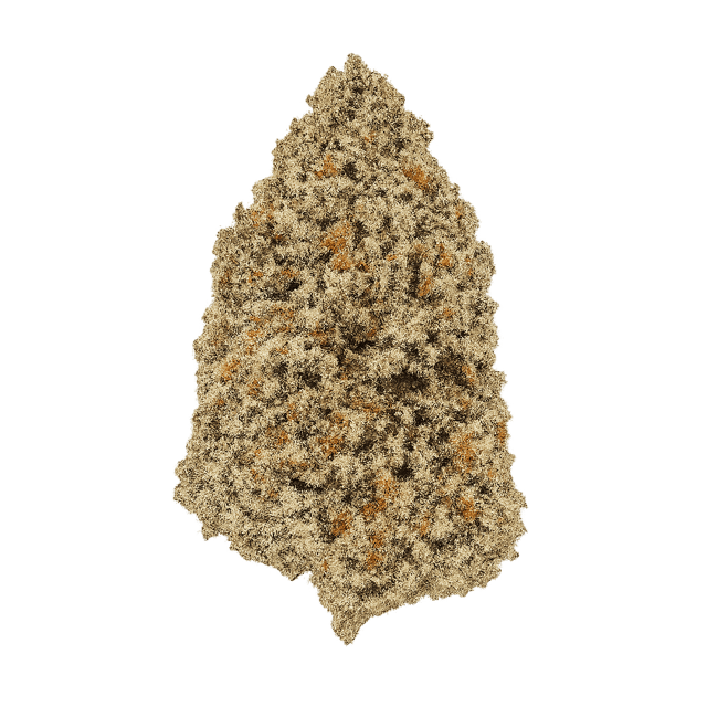 420 Evolution 30/1 CA ICC Ice Cream Cake Online Kaufen