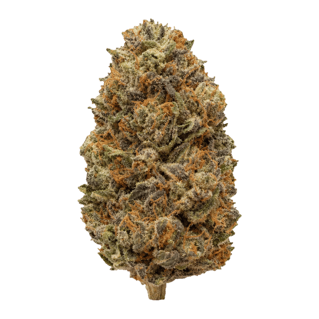 420 Compound 30/1 CA PPE Platinum Pave Online Kaufen