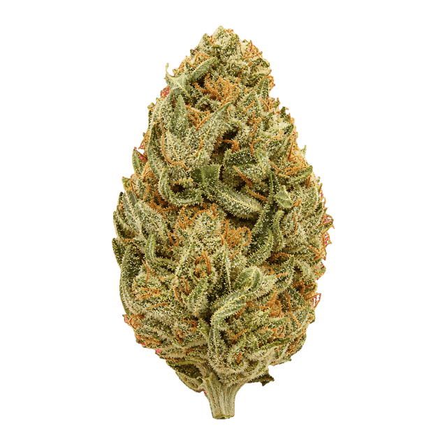 420 Evolution 25/1 PT LPC London Pound Cake Online Kaufen