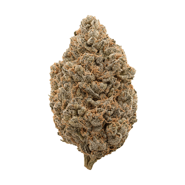 420 Compound 33/1 CA GAP Gastro Pop Online Kaufen