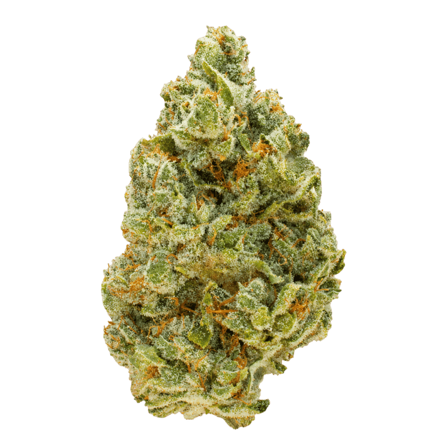420 Evolution 27/1 CA RZY Red Rozay Online Kaufen