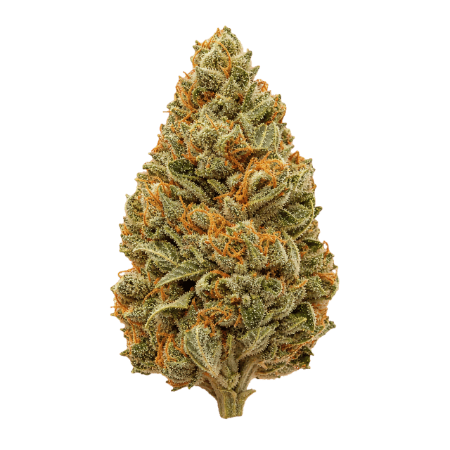 Abby Leaf 24/1 FFC Frosted Fruit Cake Online Kaufen