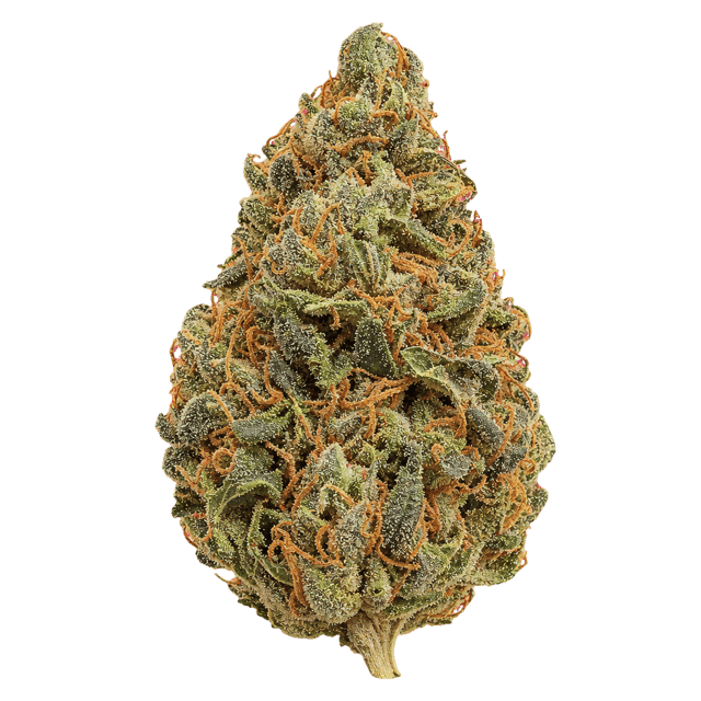 420 Natural 25/1 CA GG4 Gorilla Glue 4 Online Kaufen