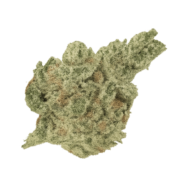 420 Natural 20/1 CA GG4 Gorilla Glue 4 Online Kaufen
