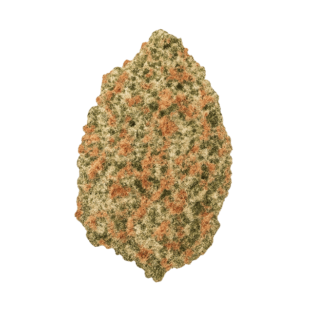 avaay Signature 31/1 OGC Ocean Grown Cookies Online Kaufen