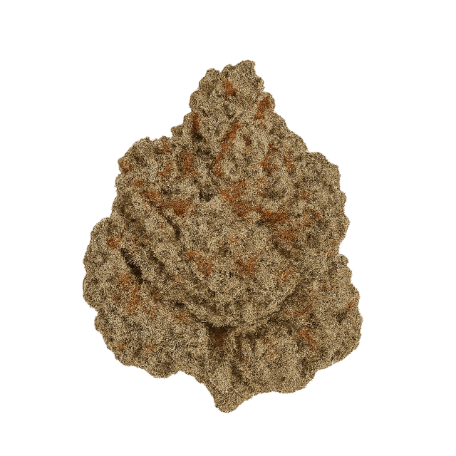 avaay Signature 34/1 OGC Ocean Grown Cookies Online Kaufen