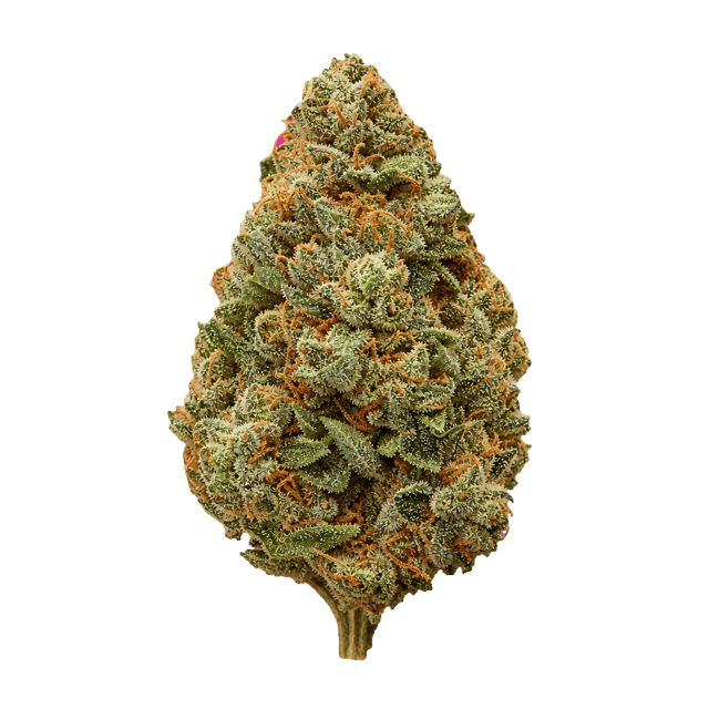 BC Green 30/1 PG Pink Grapes Online Kaufen