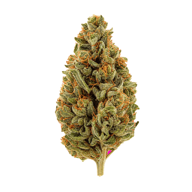 Buuo 30/1 KBP Dragon Berry Kush Online Kaufen