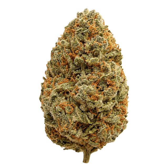 Canify 25/1 CSF Ku. Carnez Citric Online Kaufen