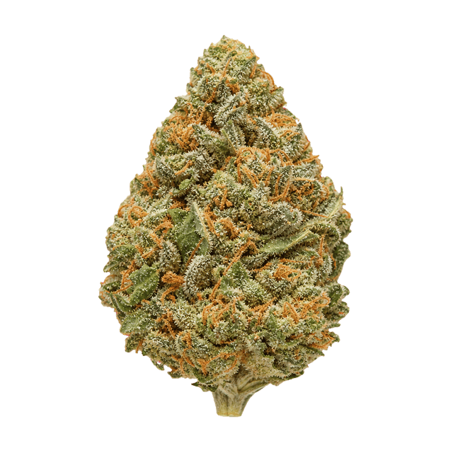 Cannabis Flos 10/12 LS Ku Basotho Even Online Kaufen