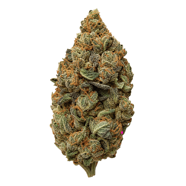 Cannabis flos 26/1 CSF Ku. Cape Venin Online Kaufen