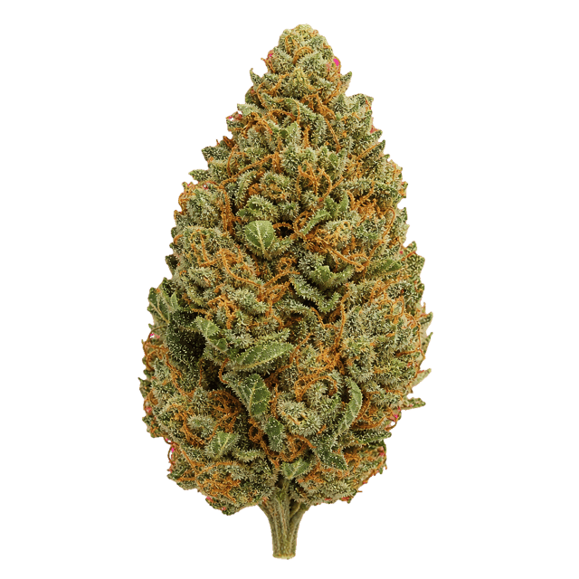 Cannabis Flos 25/1 LS Platinum Punch Online Kaufen