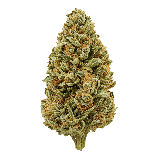 Cannabis flos 14/1 CL Ku. Doug’s Varin Online Kaufen
