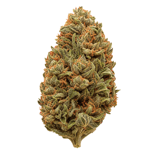 Cannabis flos 24/1 CZE Platinum Garlic Online Kaufen