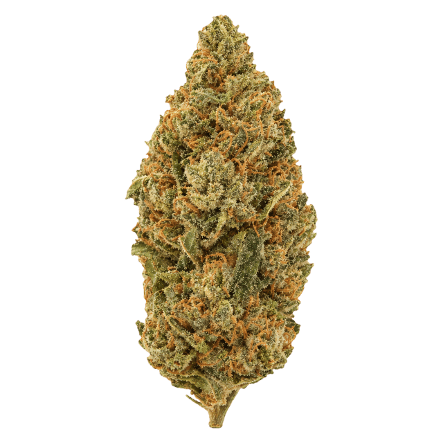 Cannamedical Sativa Forte NM Amsterdam Amnesia Online Kaufen