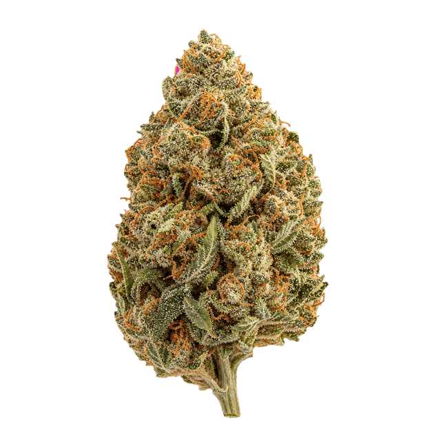 Cannamedical Indica light ZAF SL Strawberry Lemonade Online Kaufen