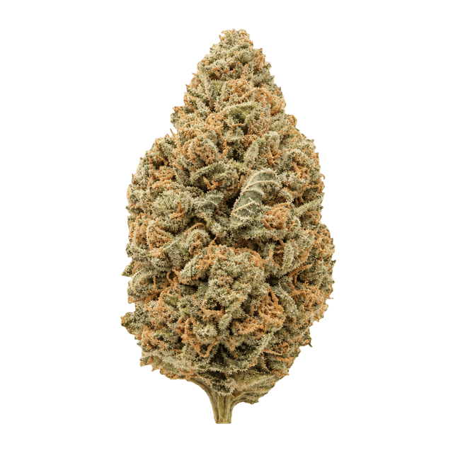 Cannabis flos 28/1 CSF Ku. Cape Venin Online Kaufen