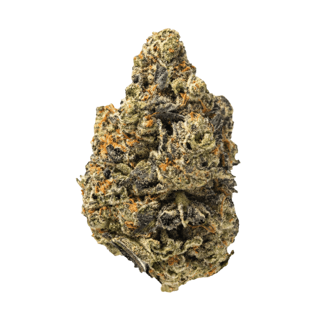 Canopy KMI 30/1 Kush Mints Online Kaufen