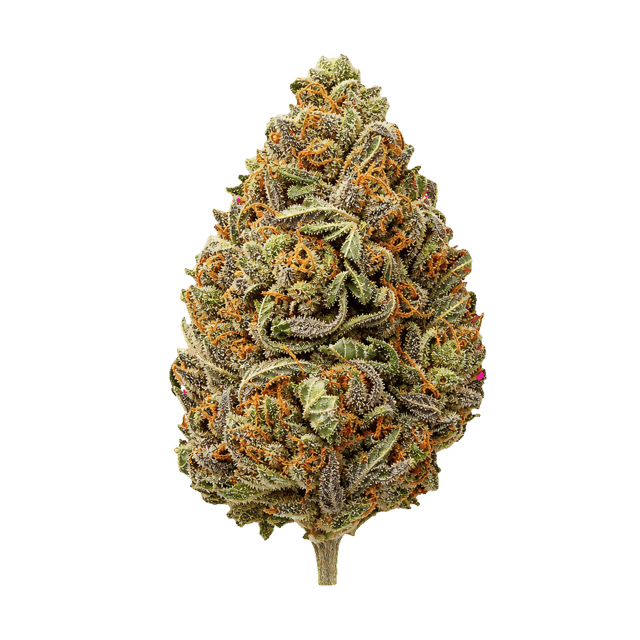 Demecan Core CRC 30:01 Cream Cake Online Kaufen