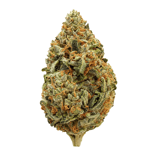 Demecan MC Regular Drop 24:01 Sherbet Mints Online Kaufen