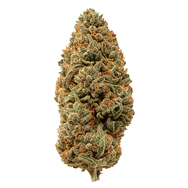 enua 25/1 JFK CA Jet Fuel Kush Online Kaufen
