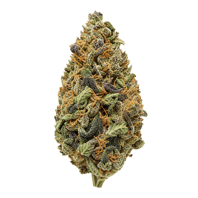 enua 27/1 TCP CA Tropical Cherry Punch Online Kaufen