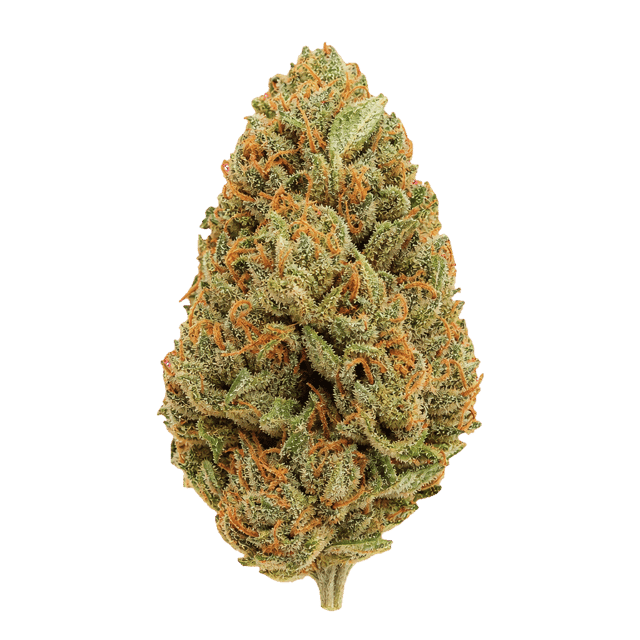enua 30/1 SF4 CA BBK Bubba Kush Online Kaufen