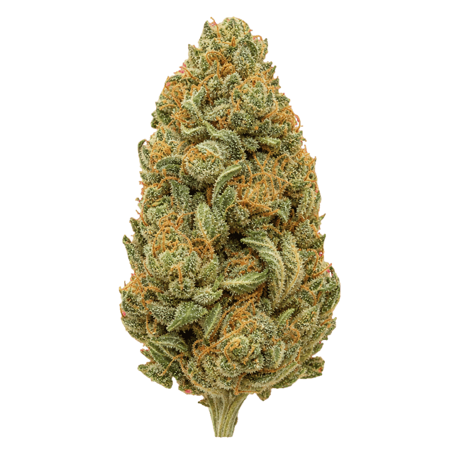 HiDealz 24/1 MS PIK smalls Pink Kush Online Kaufen