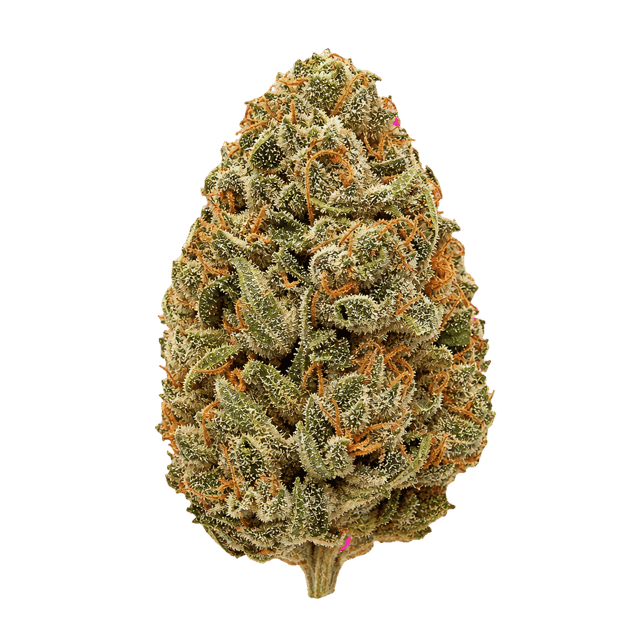 Huala 27/1 CA OSB Orange Sherbet Online Kaufen