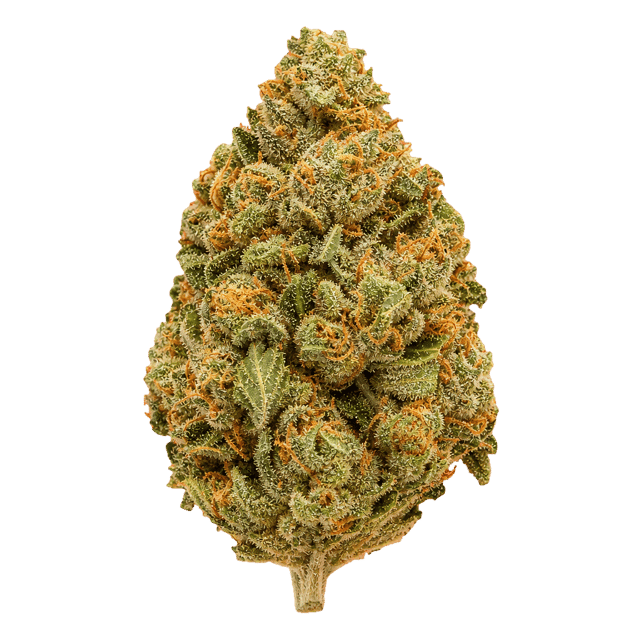 Huala 25/1 CA OCT Purple Octane Online Kaufen