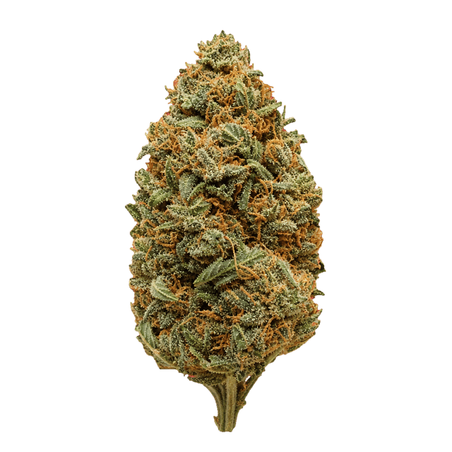 IMC Outdoor OG Kush 28/1 OG Kush Online Kaufen