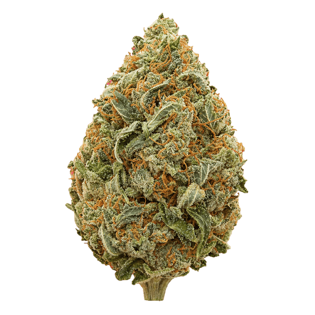 LOT 420 LEM Lemonatti Online Kaufen