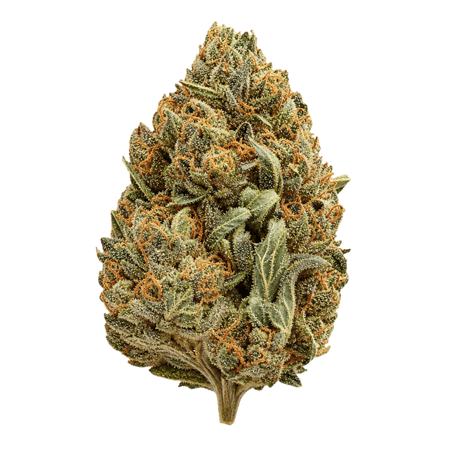 LOT 420 GLOC 29/1 Gelato x Orange Cake Online Kaufen